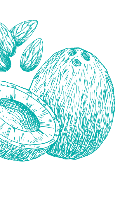 Decorativos